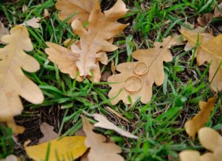 Motivos por los que casarte en otoño Motivos por los que casarte en otoño